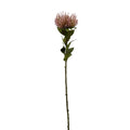 Vara protea artificial