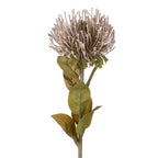 Vara protea artificial