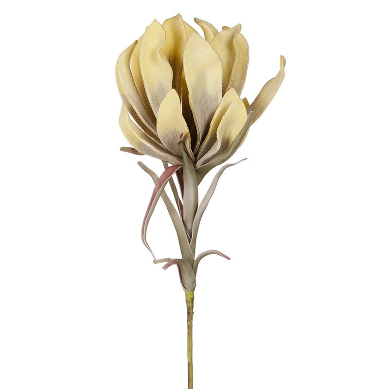 Vara protea artificial