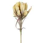 Vara protea artificial