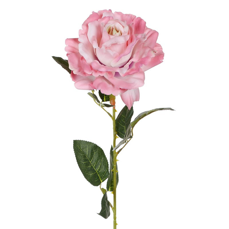 Rosa king artificial