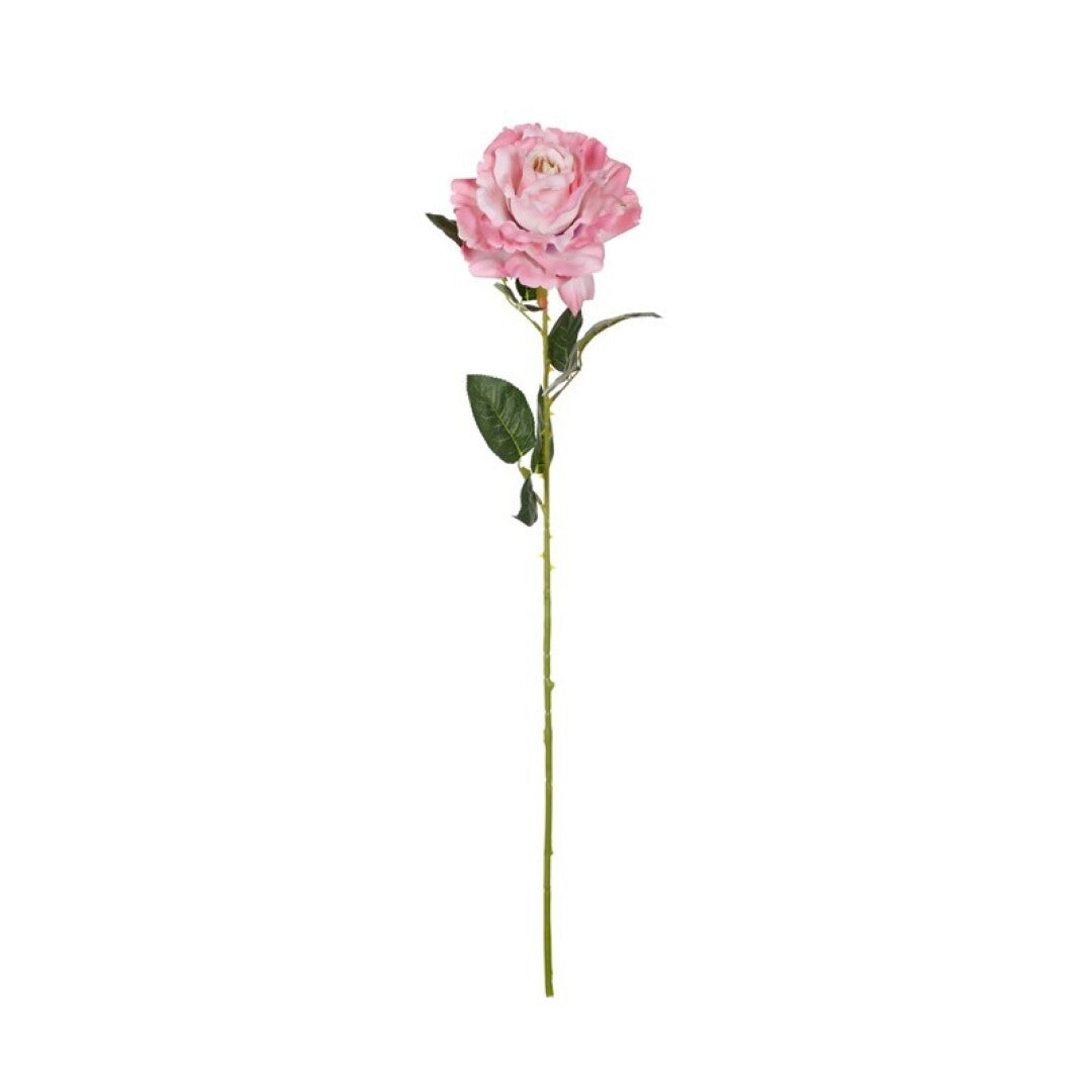 Rosa king artificial