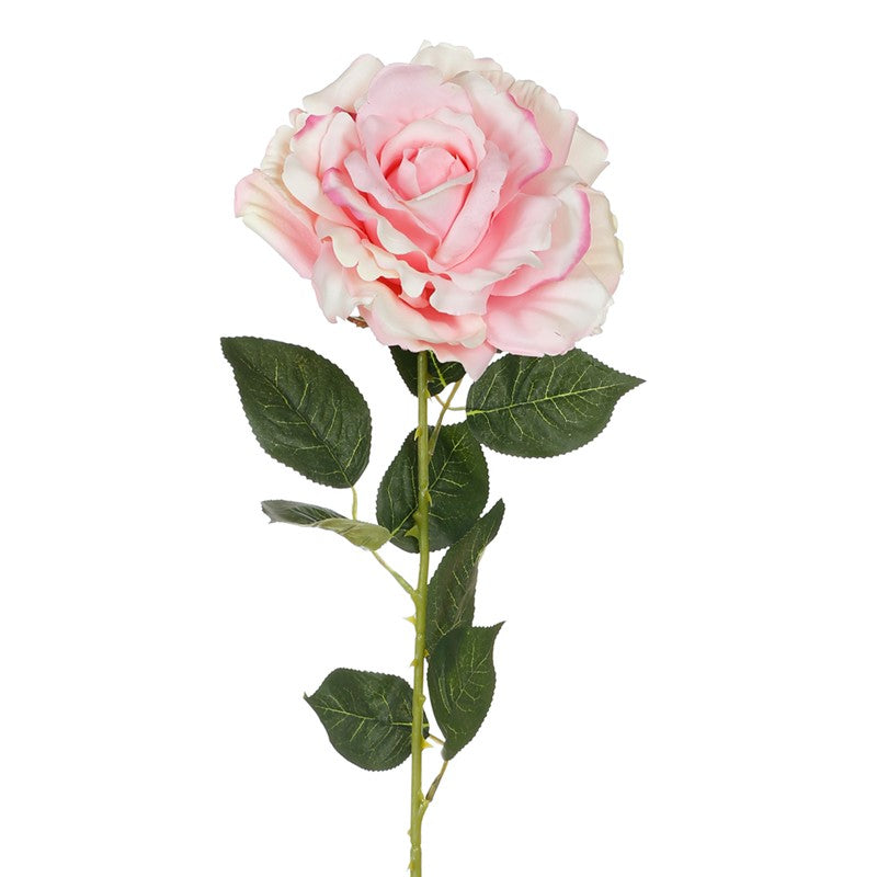 Rosa king artificial
