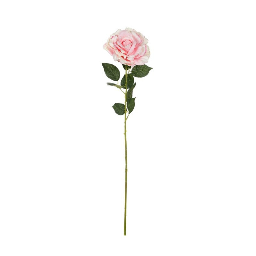 Rosa king artificial