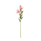 Lilium artificial