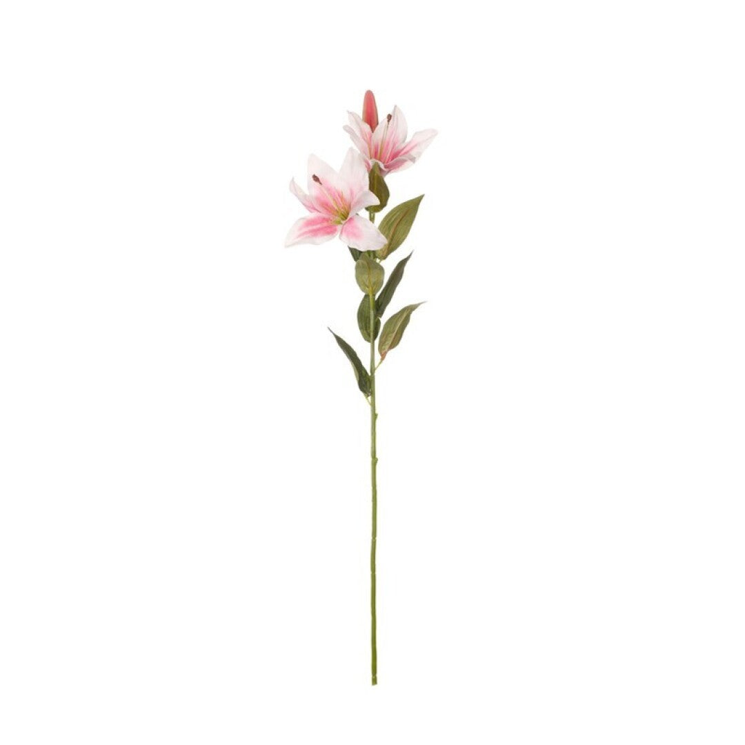 Lilium artificial