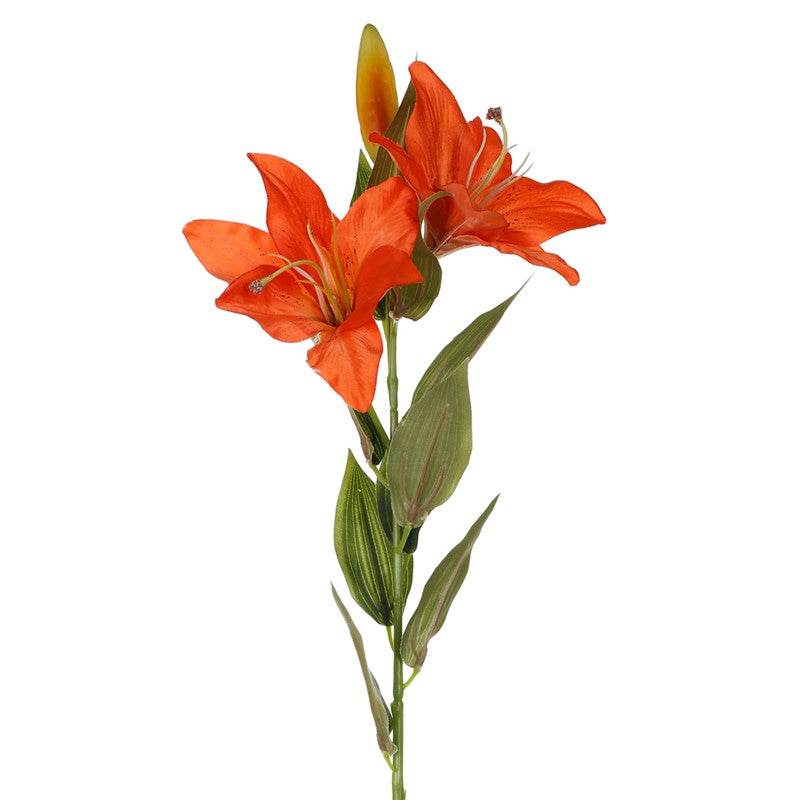 Lilium artificial