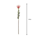 Vara leucuspermum artificial