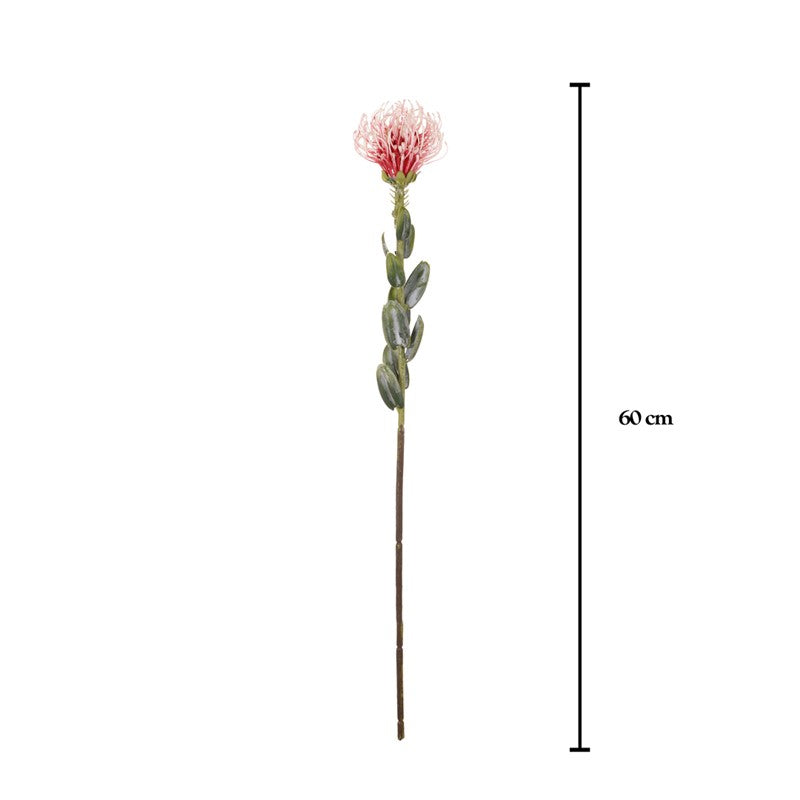Vara leucuspermum artificial