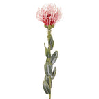 Vara leucuspermum artificial