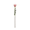 Vara leucuspermum artificial