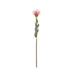 Vara leucuspermum artificial