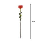 Vara leucuspermum artificial
