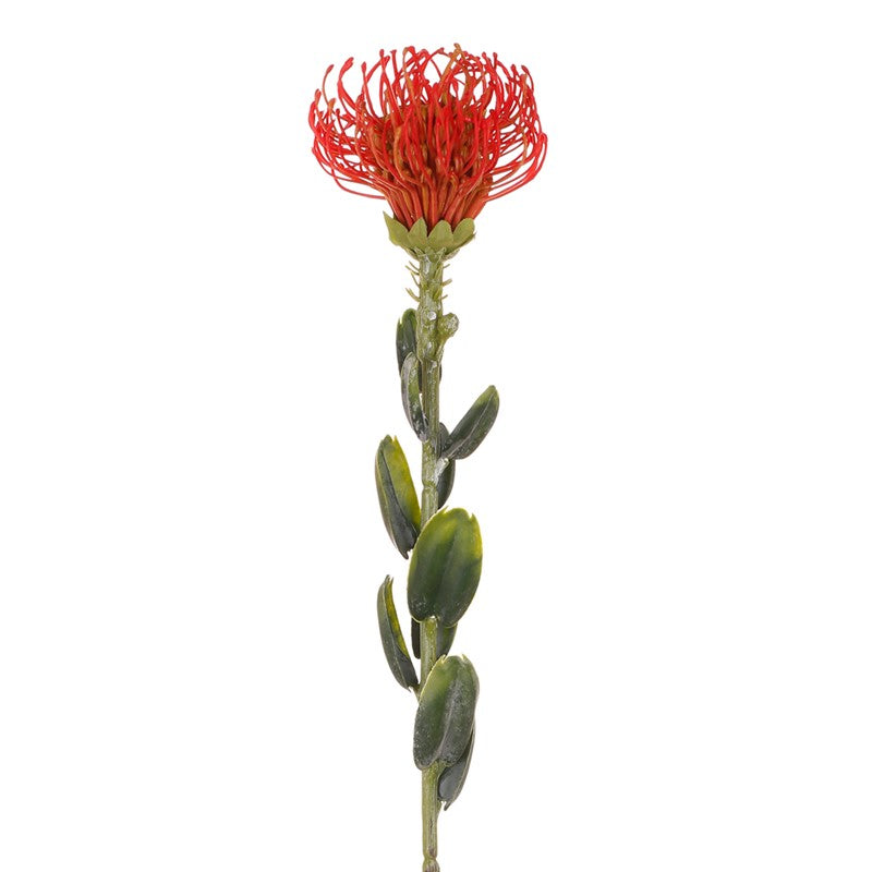 Vara leucuspermum artificial