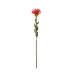 Vara leucuspermum artificial