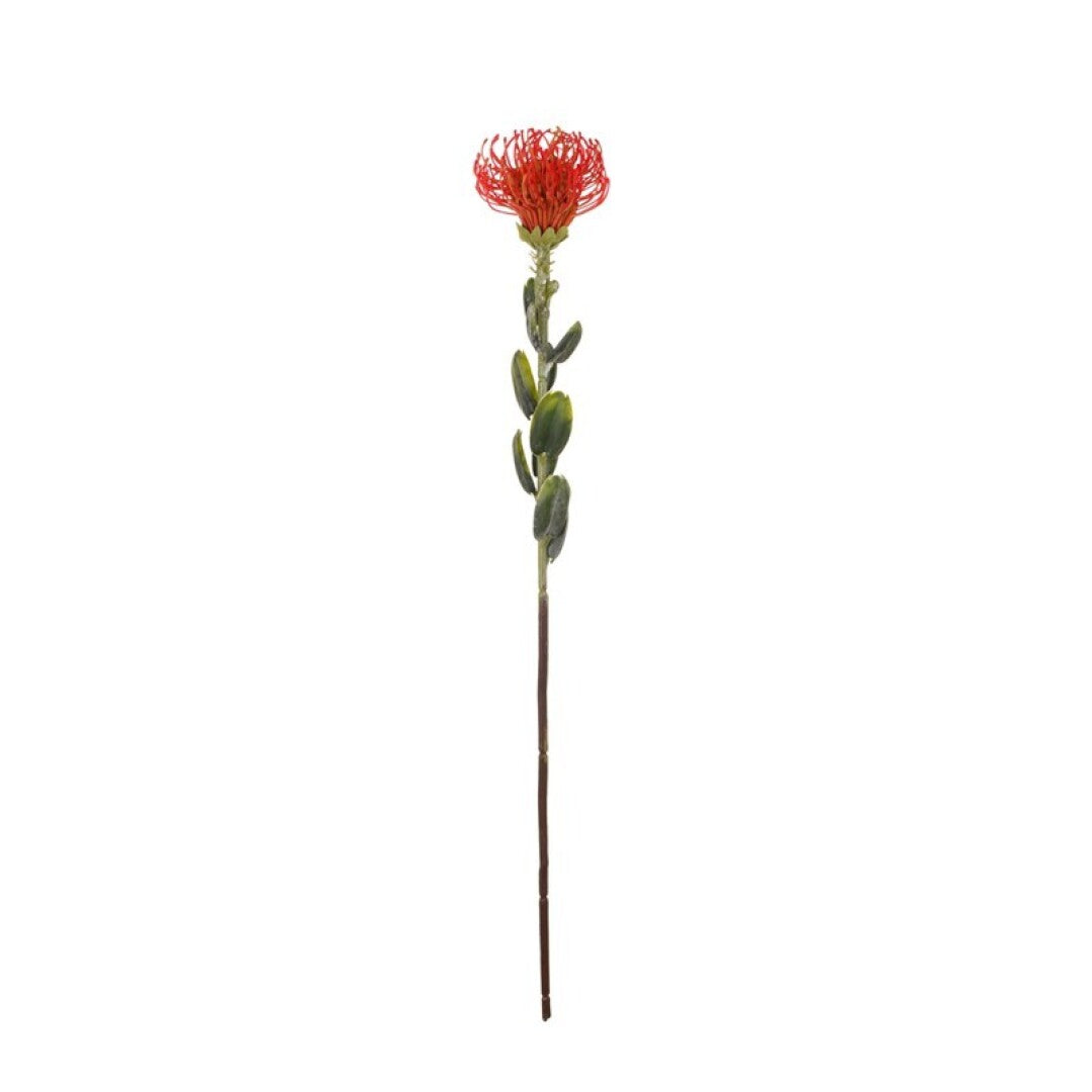 Vara leucuspermum artificial