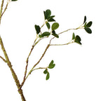 Vara peperomia artificial