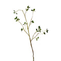 Vara peperomia artificial