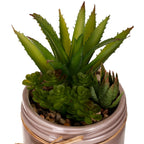 Maceta cactus bote