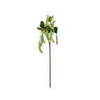 Vara haba mini artificial