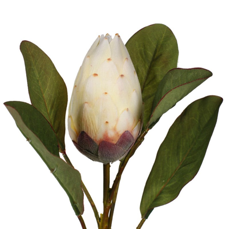 Vara protea artificial
