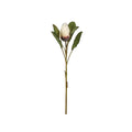 Vara protea artificial