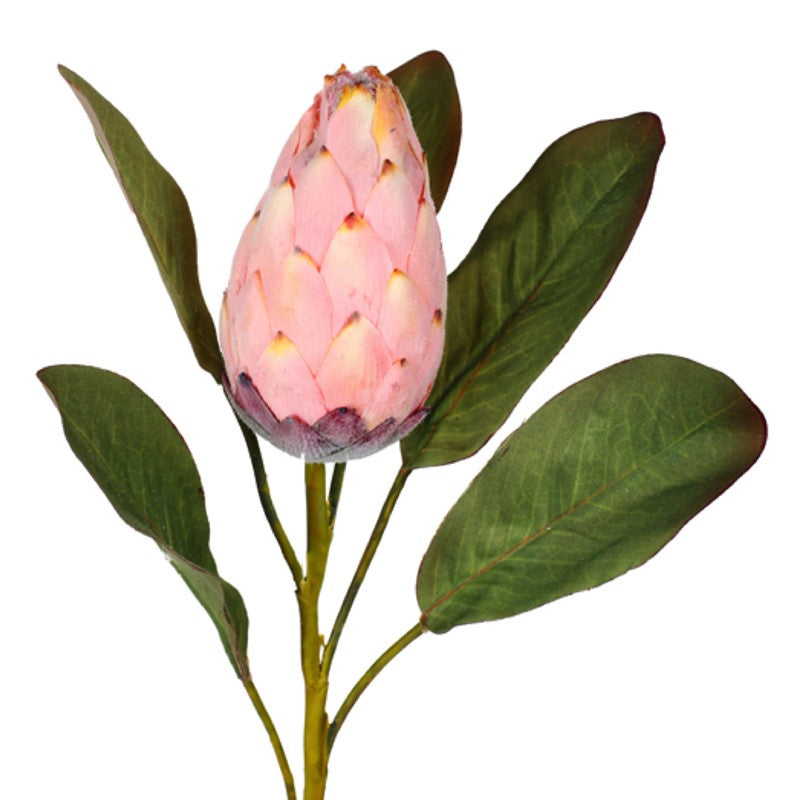 Vara protea artificial
