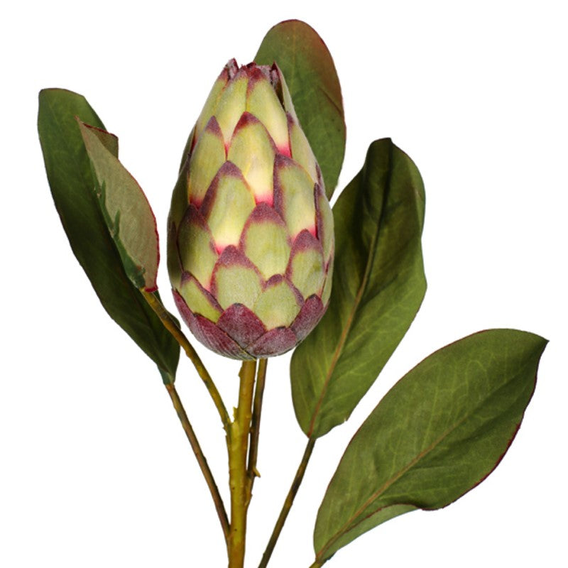 Vara protea artificial