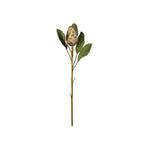 Vara protea artificial