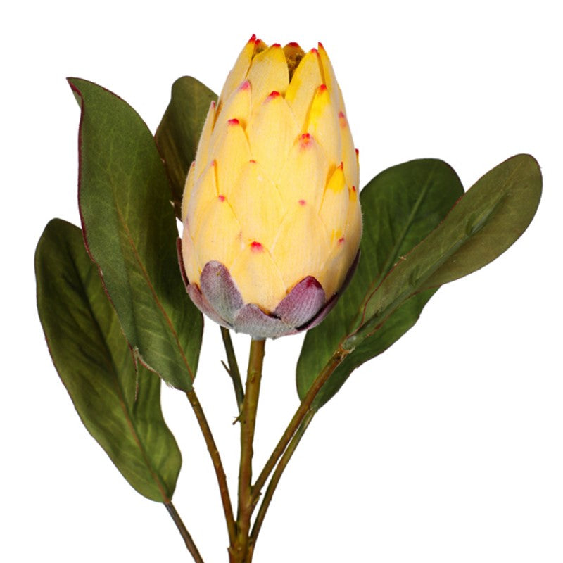 Vara protea artificial