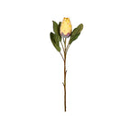 Vara protea artificial