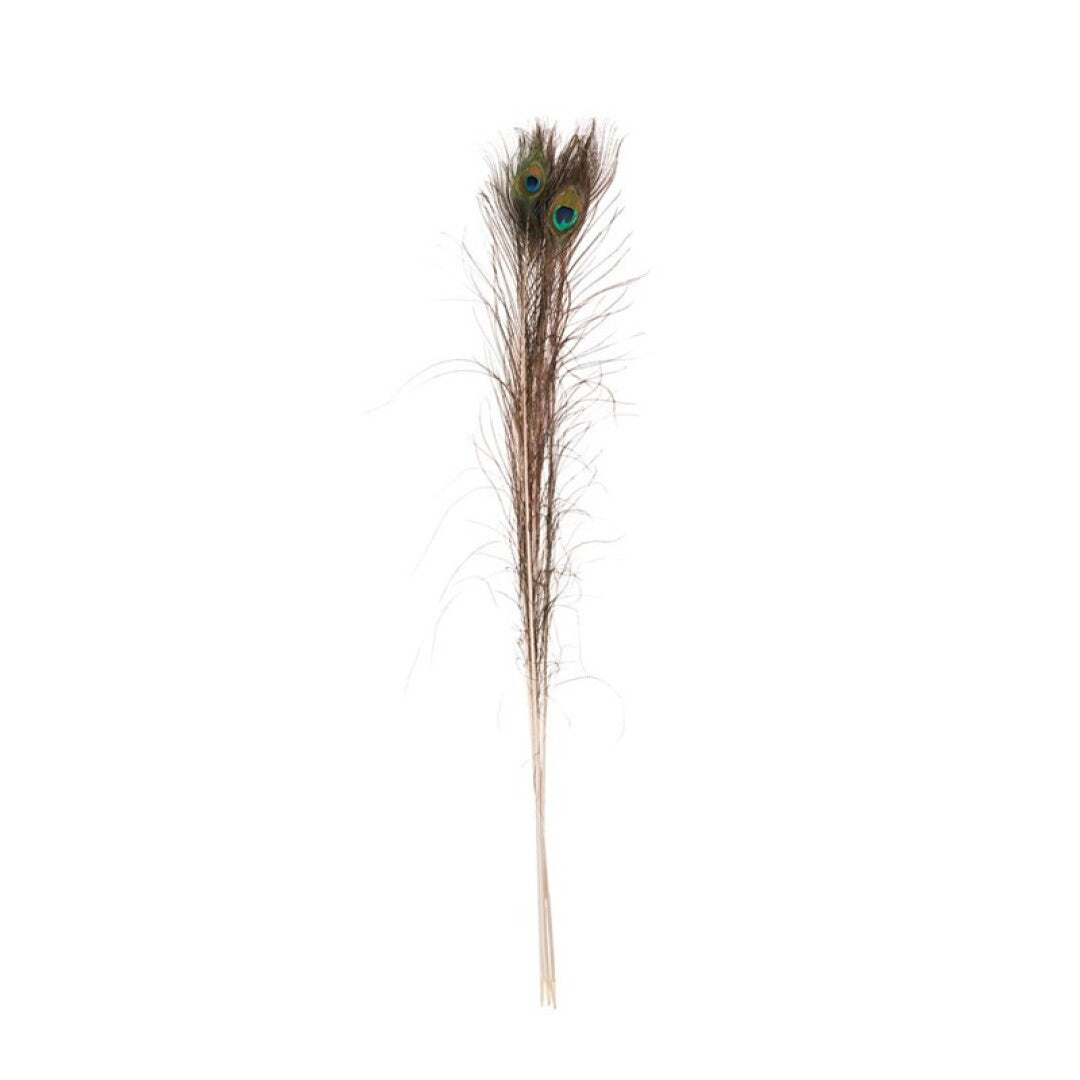 Vara de plumas de pavo real x6