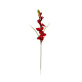 Gladiolo artificial