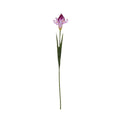 Iris artificial lila