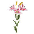 Vara lily artificial