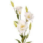 Vara de lisianthus artificial