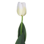 Vara de tulipán artificial