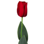 Vara de tulipán artificial