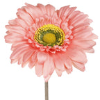 Gerbera artificial