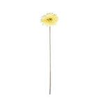 Gerbera artificial