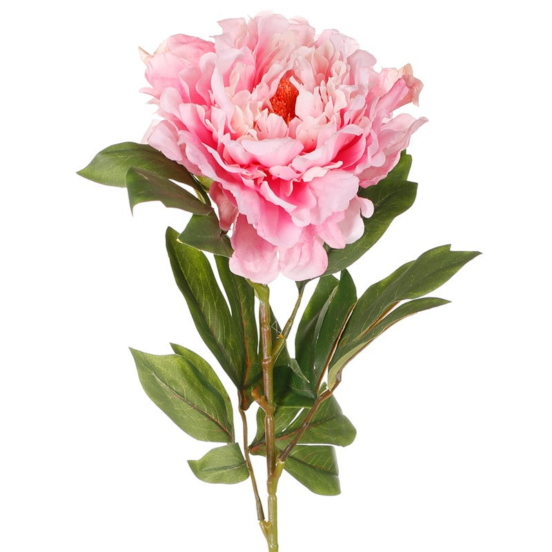 Vara de peonia con semilla artificial