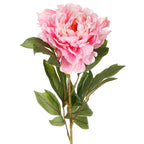 Vara de peonia con semilla artificial