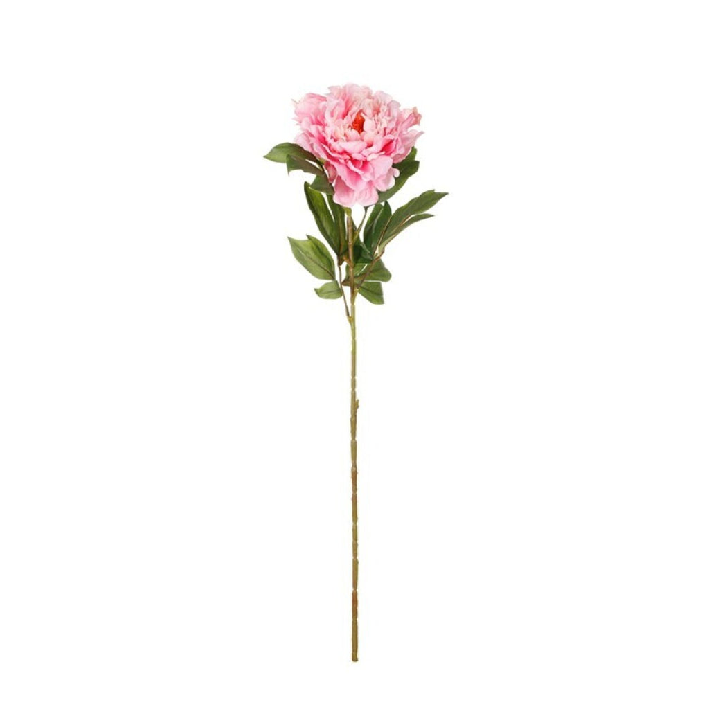 Vara de peonia con semilla artificial