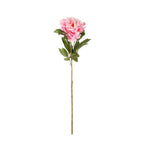 Vara de peonia con semilla artificial