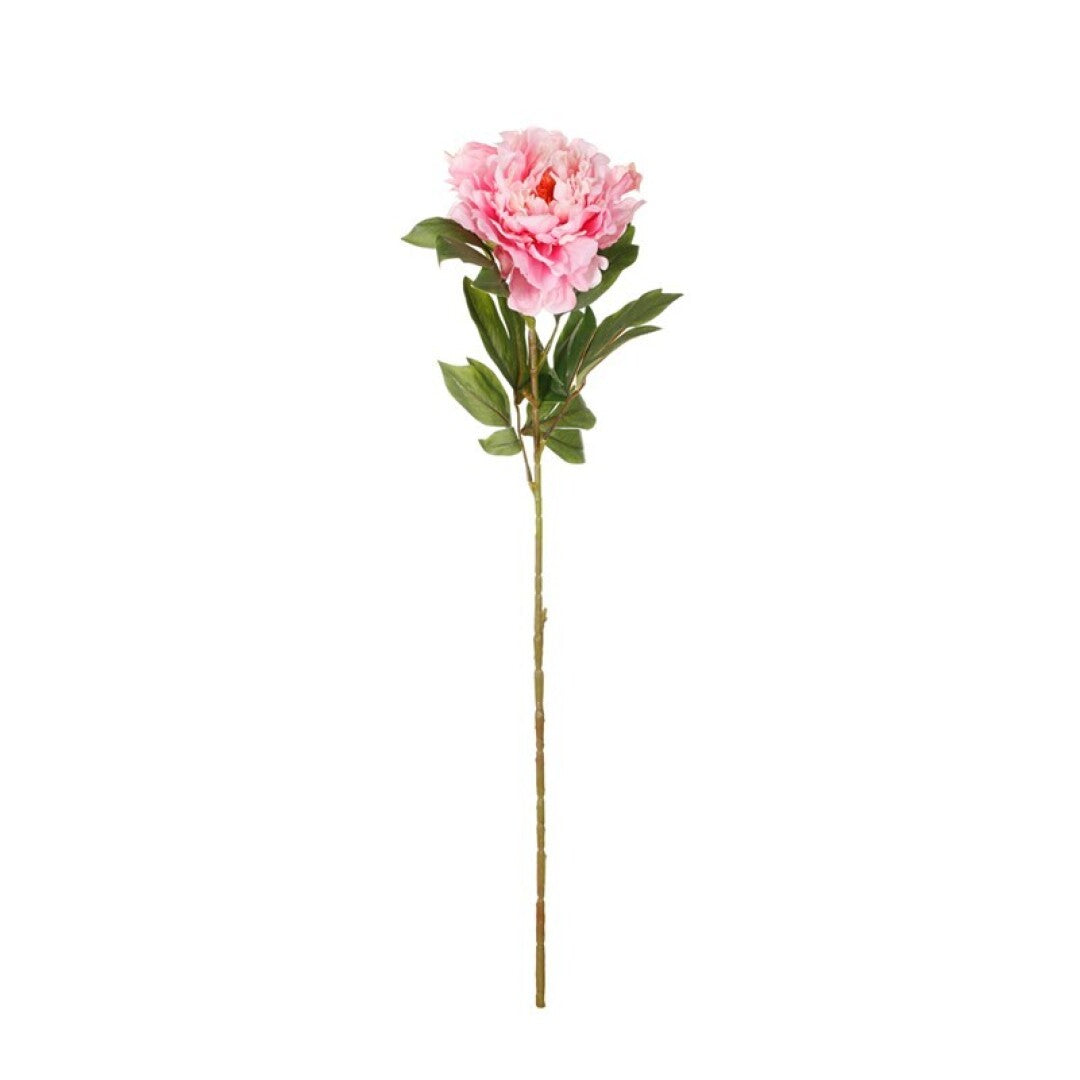 Vara de peonia con semilla artificial