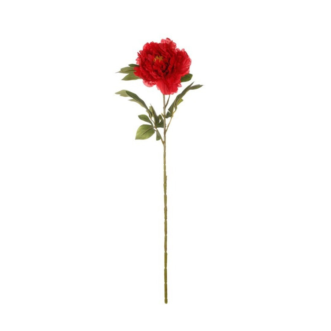 Vara de peonia con semilla artificial