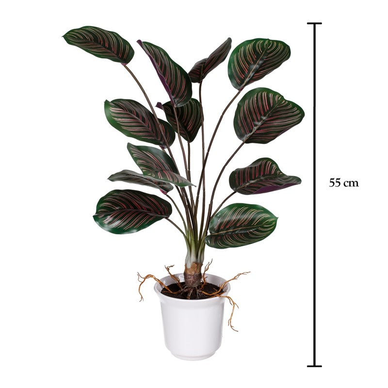 Planta caladium artificial