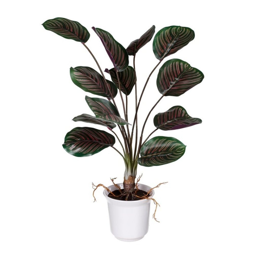 Planta caladium artificial