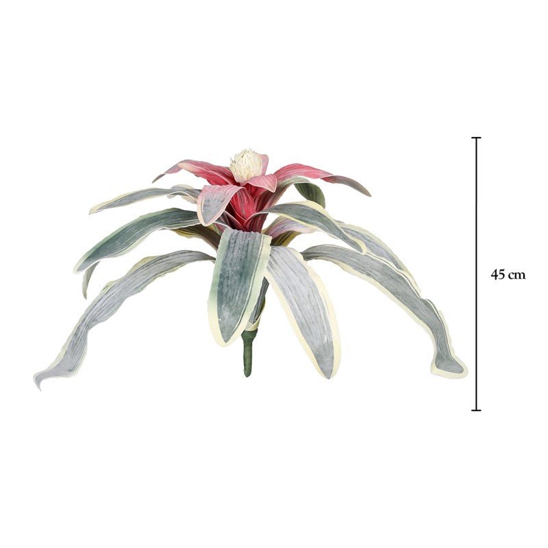 Vara nidularium artificial