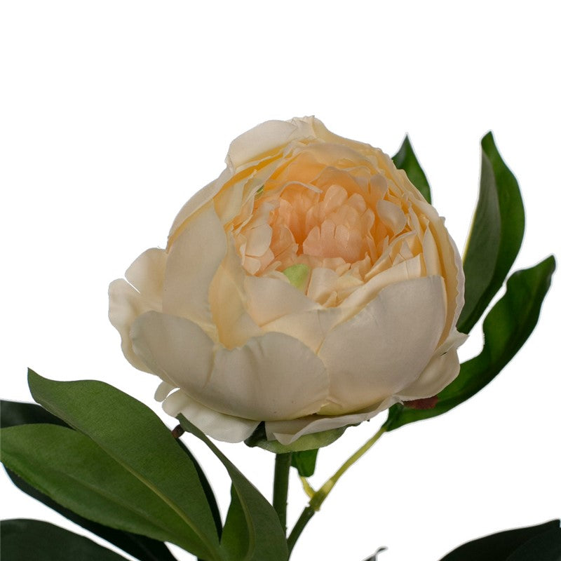 Vara peonia artificial 80 cm